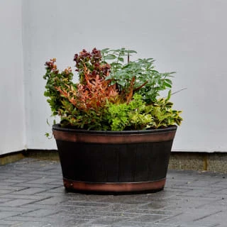 B&M Oakwood Barrel Planter 50cm